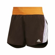 Damen-Sportshorts Adidas Hyperglam Braun