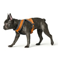 Hundegeschirr Hunter London Comfort 48-56 cm Orange Größe S/M