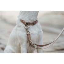 Dog collar Hunter Inari Beige 40-55 cm L