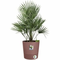 Self-watering flowerpot Elho   Brown Plastic Ø 43 cm