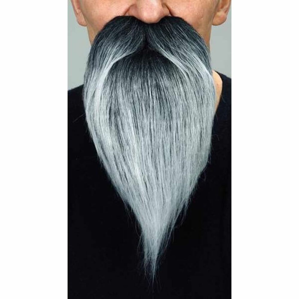 Fausse barbe My Other Me Gris