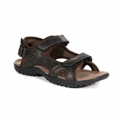 Men's Flip Flops Regatta Haris Brown