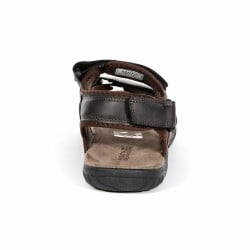 Men's Flip Flops Regatta Haris Brown