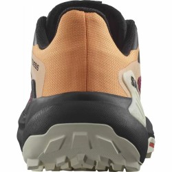 Running Shoes for Adults Salomon Genesis