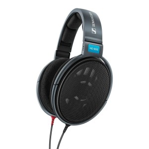 Casques avec Microphone Sennheiser HD 600 Noir Gris