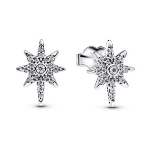 Ladies' Earrings Pandora 293587C01 Silver