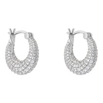 Ladies' Earrings Stroili 1691547 Silver