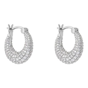 Boucles d´oreilles Femme Stroili 1691547 Argenté