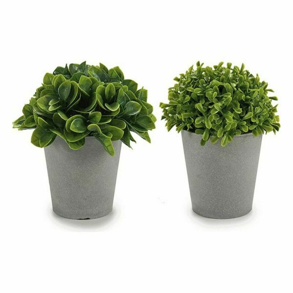 Decorative Plant Ibergarden A18124-128-1 Plastic 13 x 17 x 13 cm (12 Units)