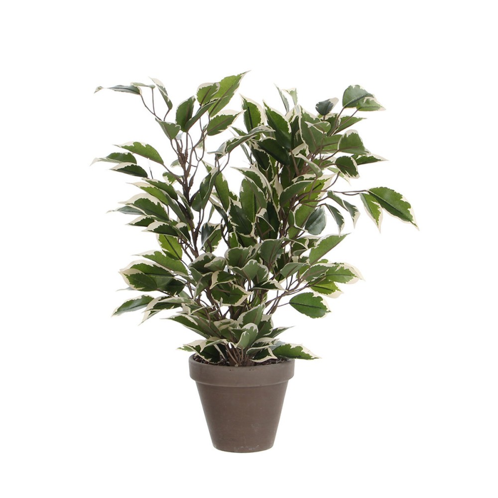 Plante décorative Mica Decorations 4 x 11,5 cm Céramique PVC Ficus