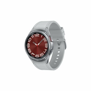 Montre intelligente Samsung SM-R955FZSAEUE Gris Argenté 43 mm