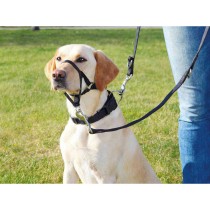 Guide harness for dog Trixie Top Trainer Black M