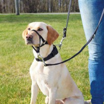 Führgeschirr für Hund Trixie Top Trainer Schwarz M