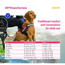 Hundegeschirr Julius K9 Power Schwarz S