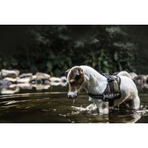 Hundegeschirr Julius K9 Power S