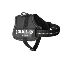 Hundegeschirr Julius K9 Power Schwarz 2 Baby 2 (XS/S)