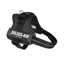 Harnais pour Chien Julius K9 Power Noir M