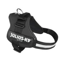 Harnais pour Chien Julius K9 Power Noir L/XL 2