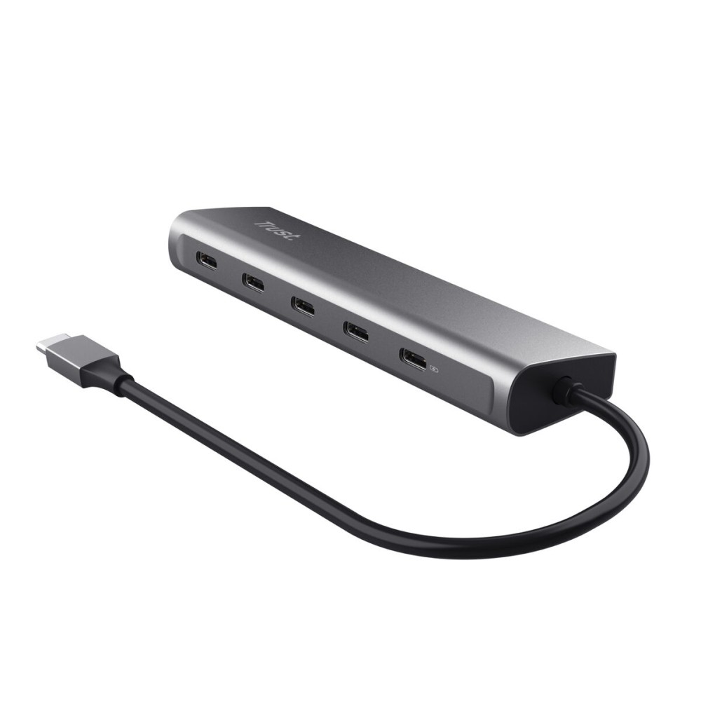 USB Hub Trust 25136 Silver (1 Unit)