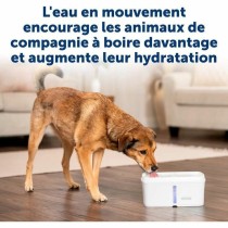 Fontaine pour Animaux de Compagnie PetSafe Blanc