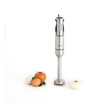 Hand-held Blender Dcook Gallery Silver 1000 W