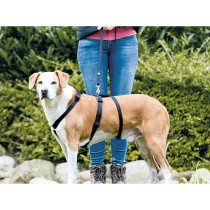 Harnais de guidage pour chien Trixie Stay Noir S/M