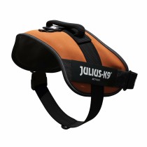 Hundegeschirr Julius K9 IDC Orange XL 3 82-118 CM