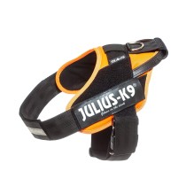 Harnais pour Chien Julius K9 IDC Orange L/XL 2 71-96 cm