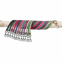 Trainingshalsband Trixie Cavo Graphit Azul Océano M/L 43-51 cm