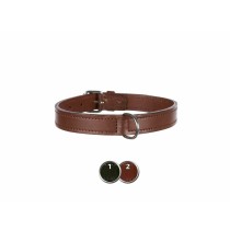 Collier pour Chien Trixie Active Noir L/XL 52-63 cm