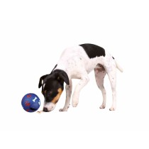 Jouet pour chien Trixie 3492 Bleu Plastique Intérieur/Extérieur