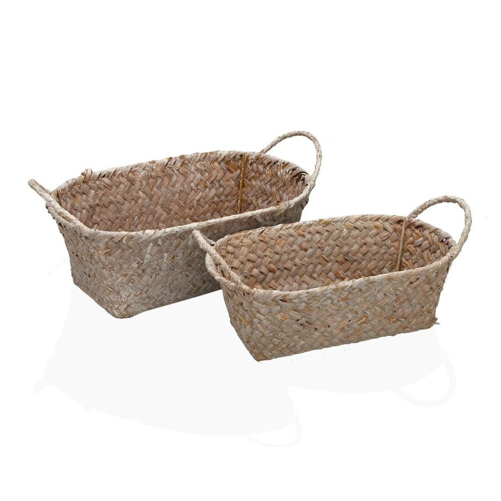 Basket set Versa Marine algae 20 x 12 x 30 cm