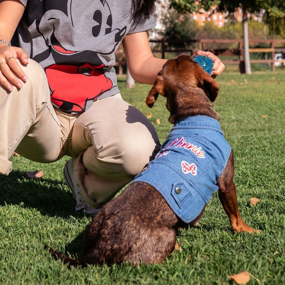 Dog coat Minnie Mouse Blue M