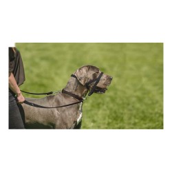 Dressurhalsband für Hunde Company of Animals Halti Schwarz Maulkorb (51-73 cm)