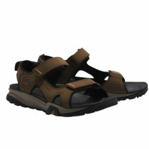 Sandalen für die Berge Timberland Winsor Trail Braun