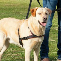 Dog Harness Trixie