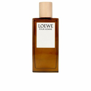 Herrenparfüm Loewe LOEWE POUR HOMME EDT 100 ml