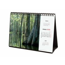 Calendrier de bureau Finocam NATURALEZA IMPACTANTE Multicouleur Papier 21 x 15 cm 2025