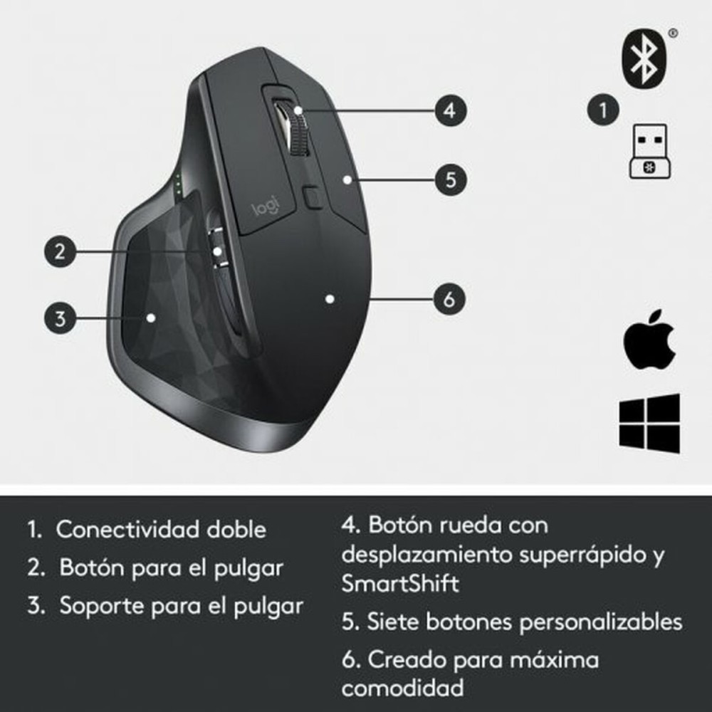 Mouse Logitech MX Master 2S Grau