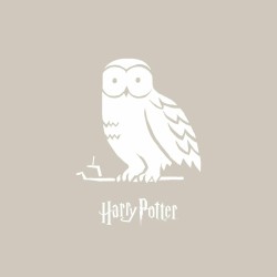 Bettdeckenbezug Harry Potter Magical Hedwig Bunt 175 Fäden 200 x 200 cm Einzelmatratze