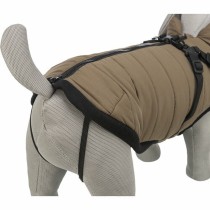 Manteau pour Chien Trixie