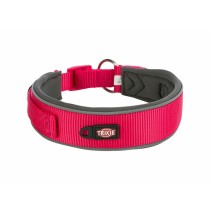 Dog collar Trixie Premium Graphite Fuchsia S/M 33-42 cm