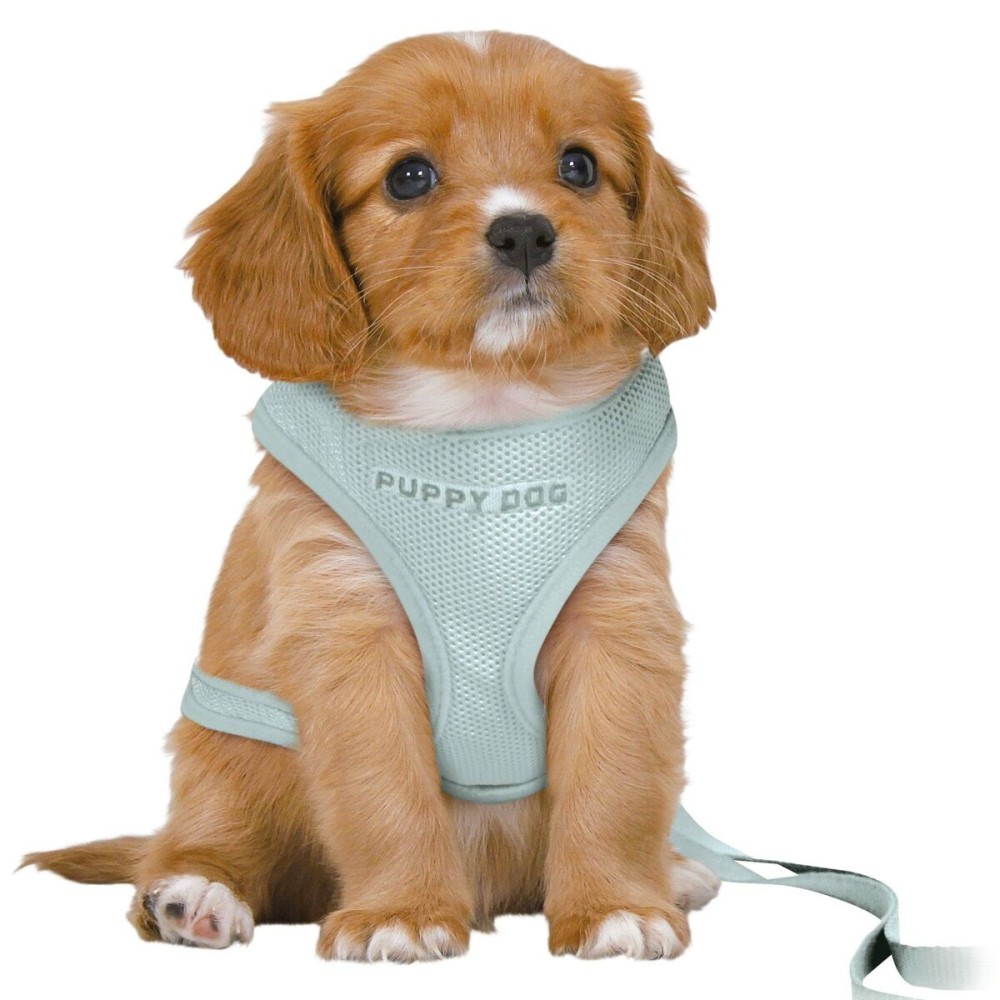 Dog Harness Trixie Junior Mint M/L