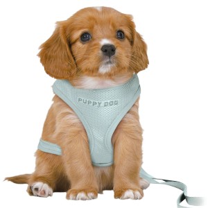 Harnais pour Chien Trixie Junior Menthe M/L