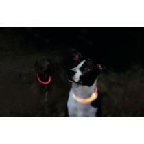 LED-Halsband für Haustiere Trixie Orange L/XL