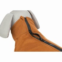 Pull pour Chien Trixie Amsterdam Orange L