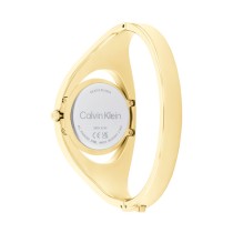 Ladies' Watch Calvin Klein 25200422