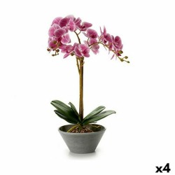 Decorative Plant (Refurbished B)