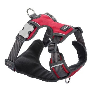 Harnais pour Chien Red Dingo Rembourré Rouge M