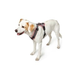 Harnais pour Chien Hunter Maldon Up Rose 57-98 cm